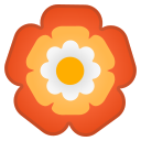 Google (Android 11.0)